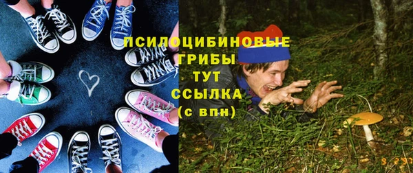 Альфа ПВП Абаза