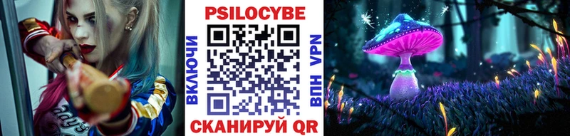 Галлюциногенные грибы Psilocybine cubensis Азнакаево